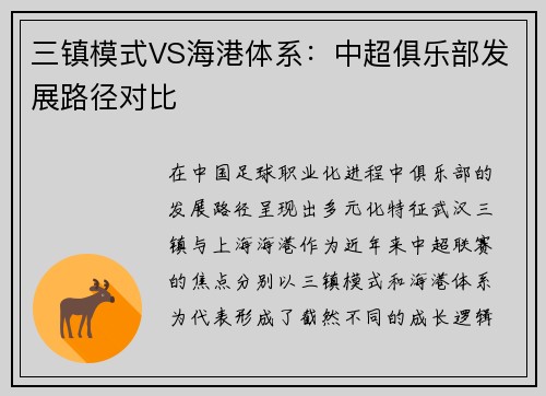 三镇模式VS海港体系：中超俱乐部发展路径对比