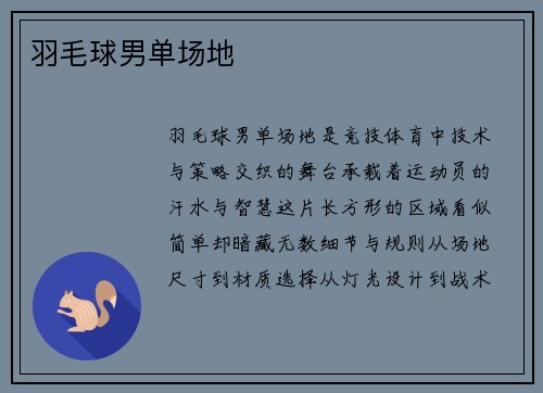 羽毛球男单场地